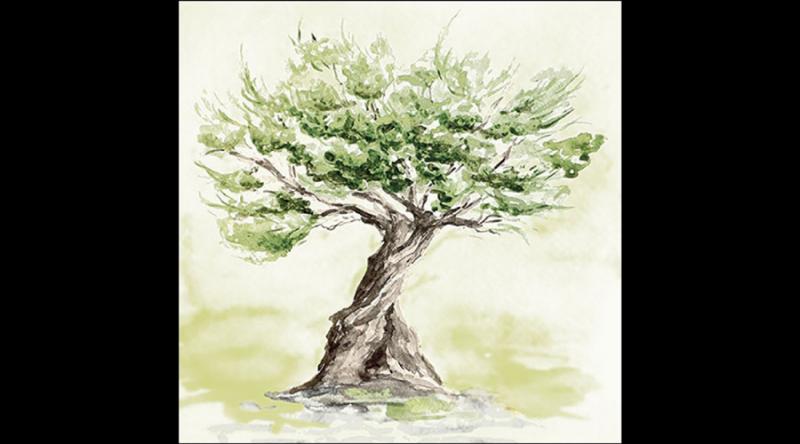 AMB.13319435 Olive tree papírszalvéta 33x33cm, 20db-os