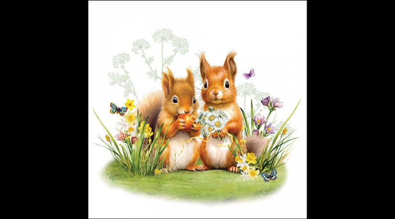 AMB.13319465 Little squirrels papírszalvéta 33x33cm, 20db-os