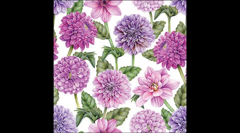 AMB.13319480 Dahlias in bloom papírszalvéta 33x33cm, 20db-os