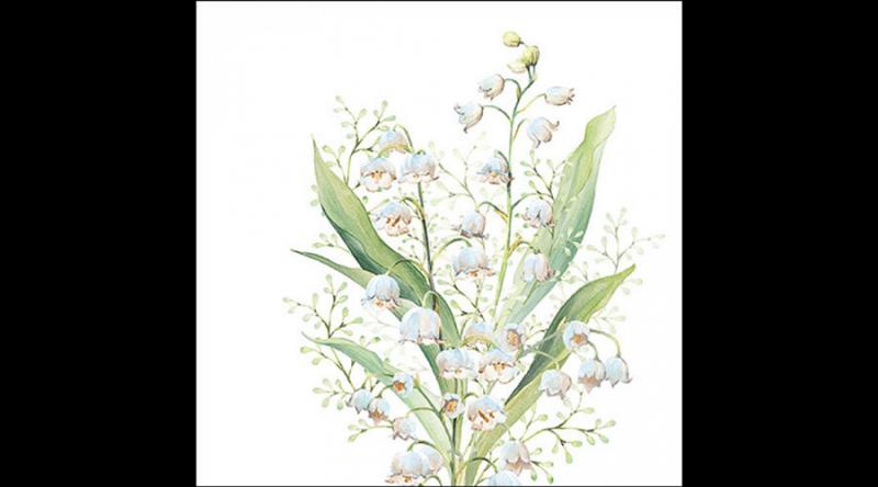 AMB.13319550 Lily of the valley white papírszalvéta 33x33cm, 20db-os