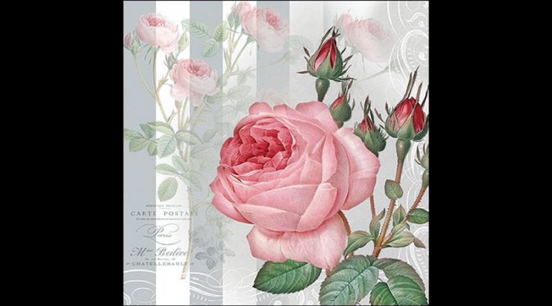 AMB.13319565 Yara papírszalvéta 33x33cm, 20db-os