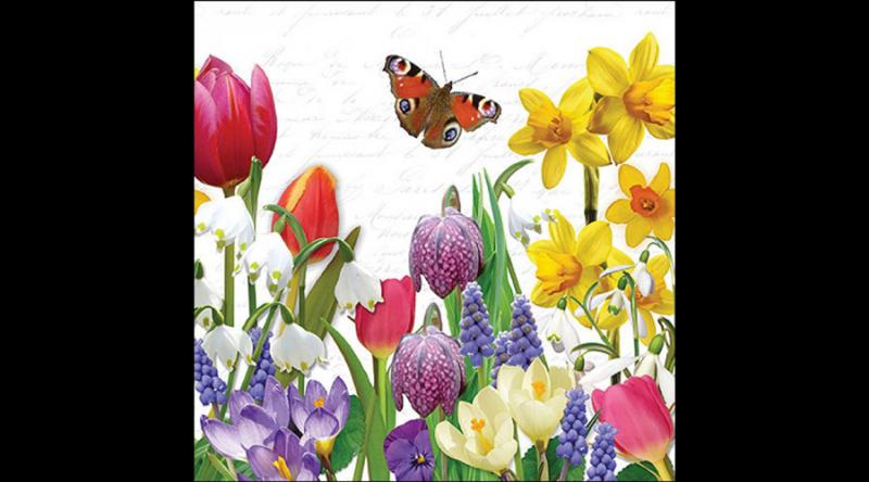 AMB.13319640 Spring feeling papírszalvéta 33x33cm, 20db-os