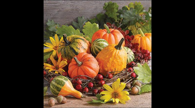AMB.13320255 Pumpkin varieties papírszalvéta 33x33cm, 20db-os
