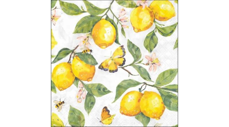 AMB.13320365 Fresh lemons white papírszalvéta 33x33cm, 20db-os