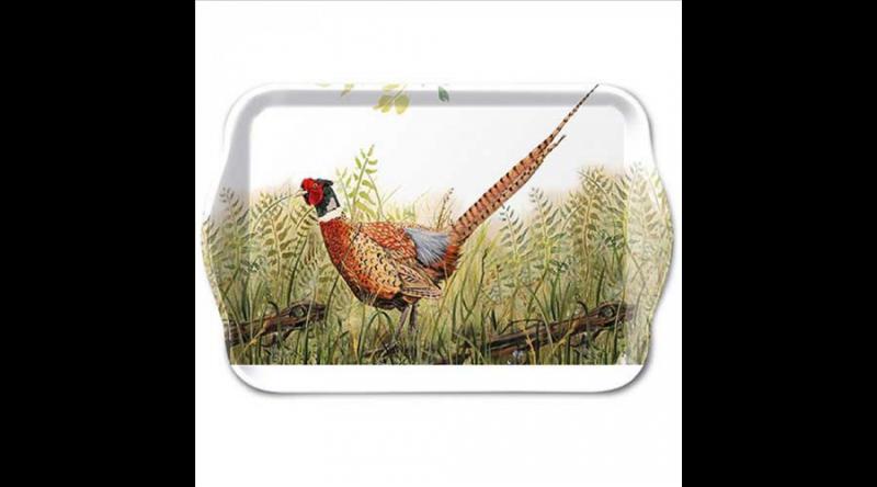 AMB.13717515 Glorious pheasant műanyag kistálca 13x21cm