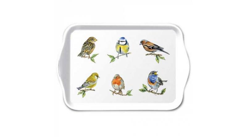 AMB.13718135 Bird species white műanyag kistálca 13x21cm