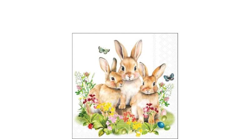 AMB.22520760 Bunny family papírszalvéta 25x25cm,20db-os