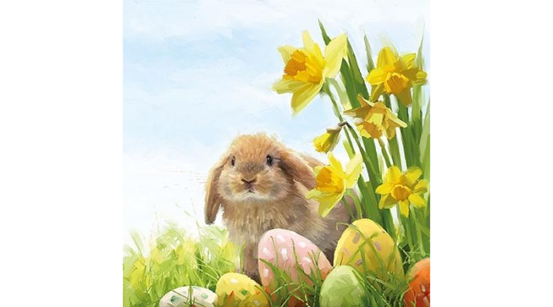 AMB.23301640 Fluffy papírszalvéta 33x33cm,20db-os