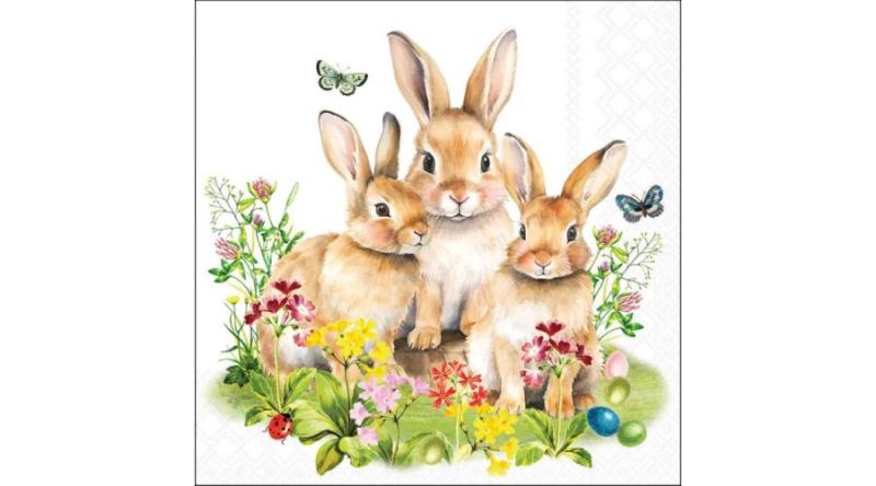 AMB.23320760 Bunny family papírszalvéta 33x33cm,20db-os