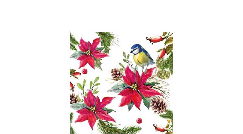 AMB.32514640 Bird on Poinsettia white papírszalvéta 25x25cm, 20db-os