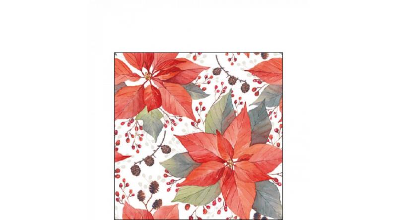 AMB.32516490 Poinsettia And Berries papírszalvéta 25x25cm, 20db-os