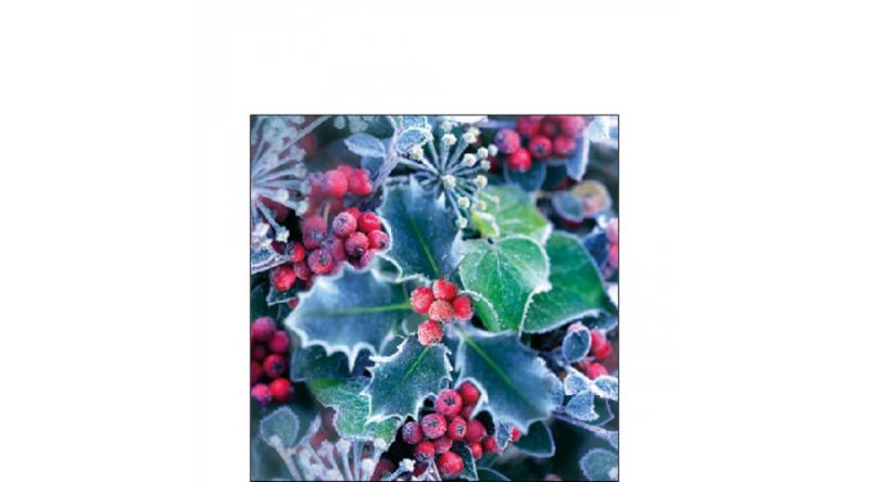 AMB.32516965 Frozen Holly papírszalvéta 25x25cm, 20db-os