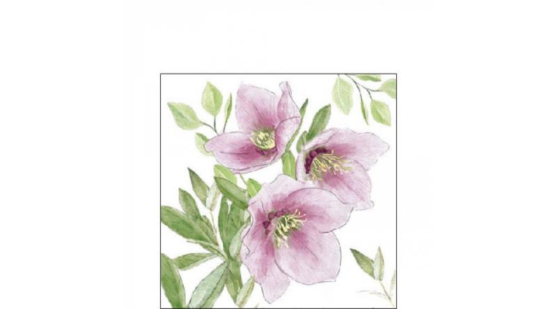 AMB.32518015 Classic helleborus papírszalvéta 25x25cm, 20db-os