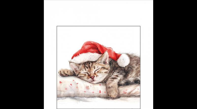 AMB.32520080 Dreaming about X-Mas papírszalvéta 25x25cm, 20db-os, cicás