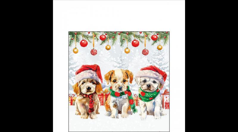 AMB.32520090 Funny cute puppies papírszalvéta 25x25cm, 20db-os