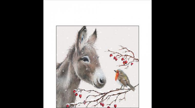 AMB.32520100 Donkey and robin papírszalvéta 25x25cm, 20db-os