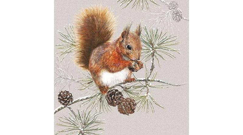 AMB.33313445 Squirrel In Winter papírszalvéta 33x33cm,20db-os