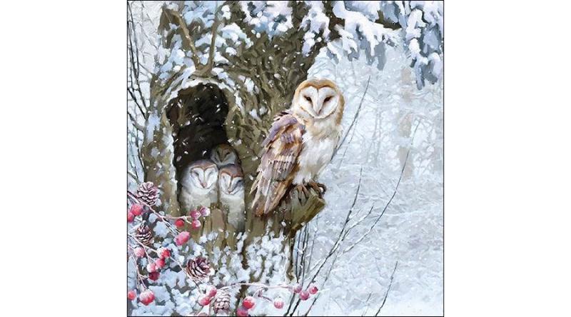 AMB.33314590 Barn Owl papírszalvéta 33x33cm, 20db-os