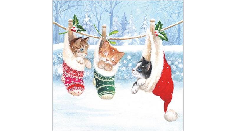 AMB.33314800 Kitten Winterland papírszalvéta 33x33cm, 20db-os