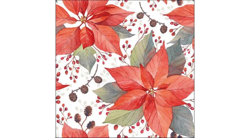 AMB.33316490 Poinsettia And Berries papírszalvéta 33x33cm, 20db-os