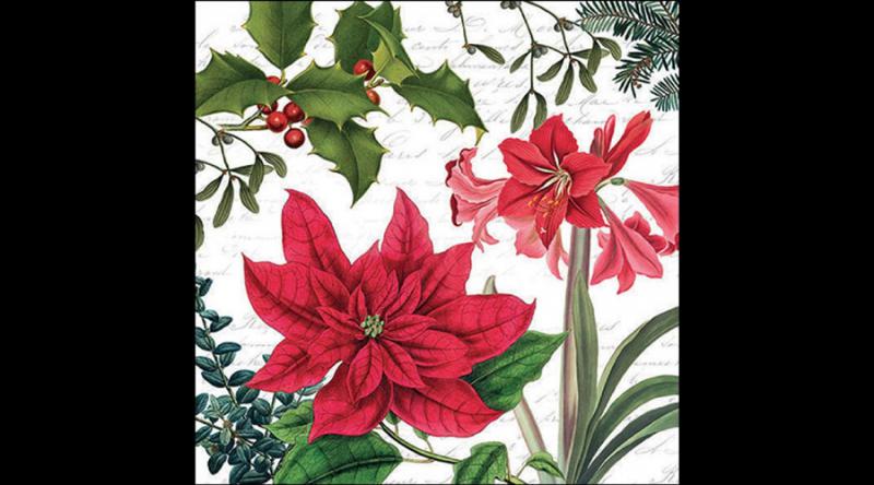 AMB.33316555 Christmas plants white papírszalvéta 33x33cm, 20db-os