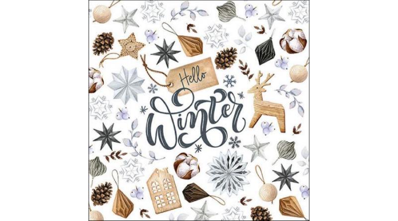 AMB.33317705 Natural winter papírszalvéta 33x33cm, 20db-os