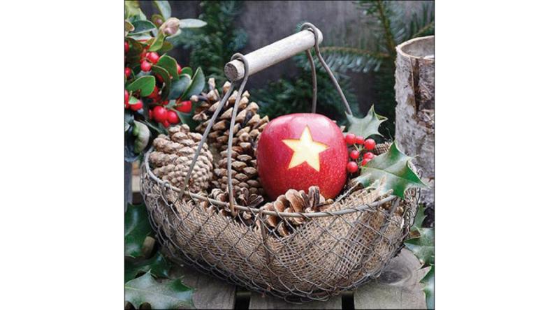 AMB.33317825 Star apple papírszalvéta 33x33cm, 20db-os