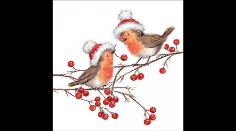 AMB.33318865 Christmas robins white papírszalvéta 33x33cm, 20db-os