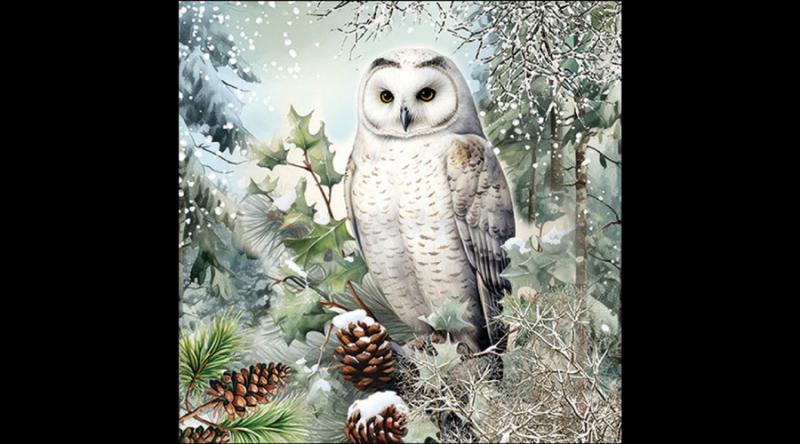 AMB.33320010 Snowy owl papírszalvéta 33x33cm, 20db-os