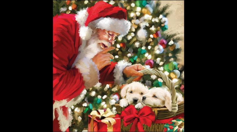 AMB.33320060 Just be quiet papírszalvéta 33x33cm, 20db-os