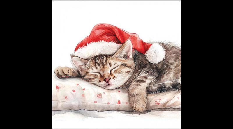 AMB.33320080 Dreaming about X-Mas papírszalvéta 33x33cm, 20db-os,cicás