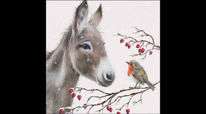 AMB.33320100 Donkey and robin papírszalvéta 33x33cm, 20db-os