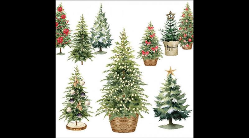 AMB.33320140 Tree collection papírszalvéta 33x33cm, 20db-os