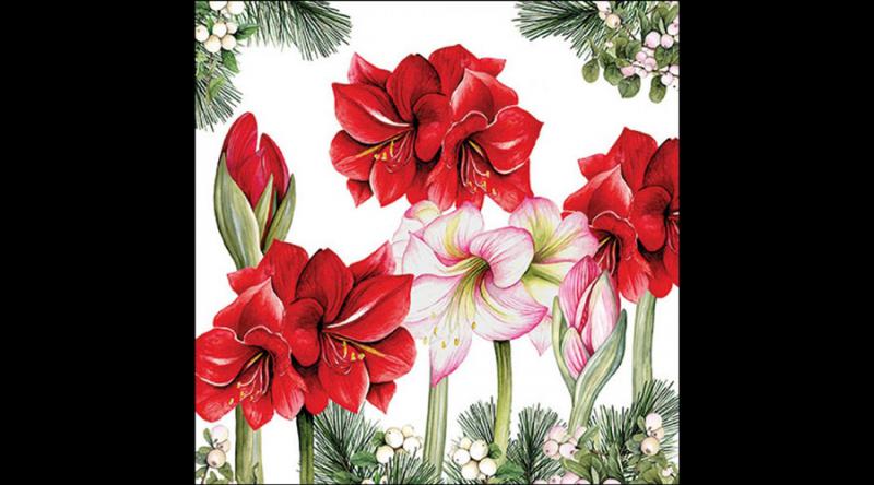 AMB.33320275 Blooming amaryllis white papírszalvéta 33x33cm, 20db-os