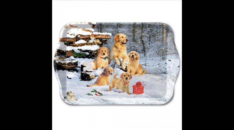 AMB.33718885 Golden retriever puppies műanyag kistálca 13x21cm