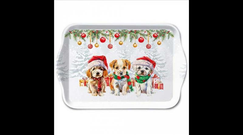 AMB.33720090 Funny cute puppies műanyag kistálca 13x21cm