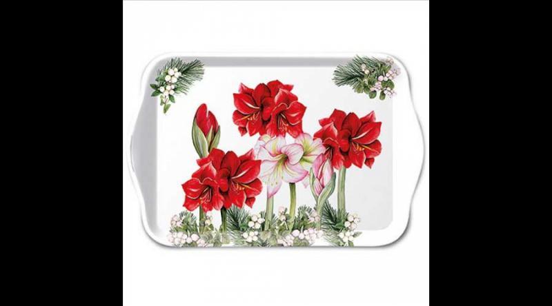 AMB.33720275 Blooming amaryllis white műanyag kistálca 13x21cm