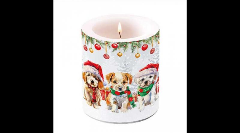 AMB.39320090 Funny cute puppies átvilágítós gyertya 10x10xcm