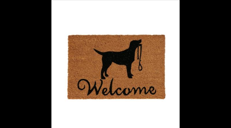 B.G.2051690 Lábtörlő kókusz-PVC, 40x60cm, kutya pórázzal