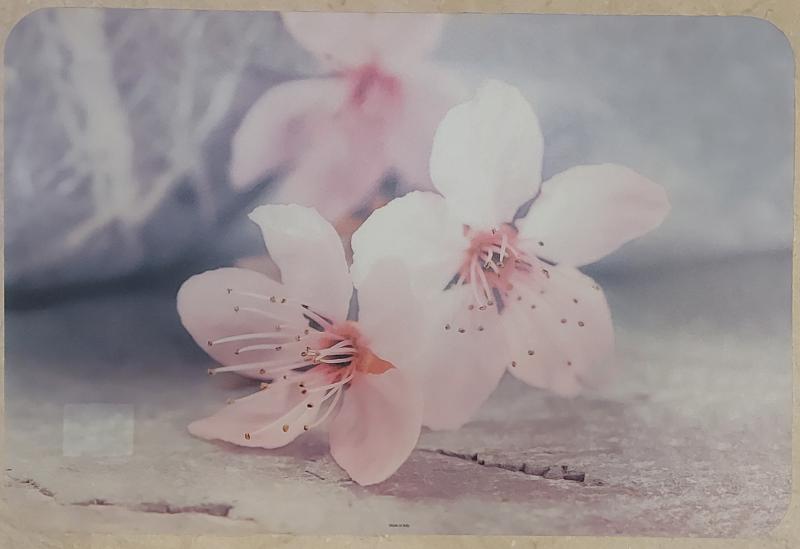 Delta műanyag reggeliző alátét, 45X30 cm, Fiori di Pesco, ART T2230D745