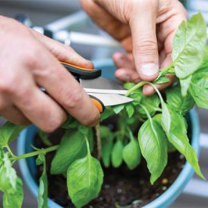 FISKARS Fűszervágó olló, Solid™ SP220