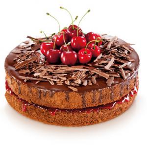 Tescoma Delicia szilikonos tortaforma, 26 cm, 629418