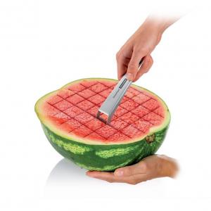 TESCOMA GrandCHEF dinnyeadagoló 428636