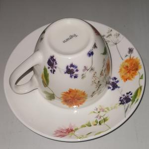 Tognana AUDREY IRIS porc. teás klt. 20cl 6db