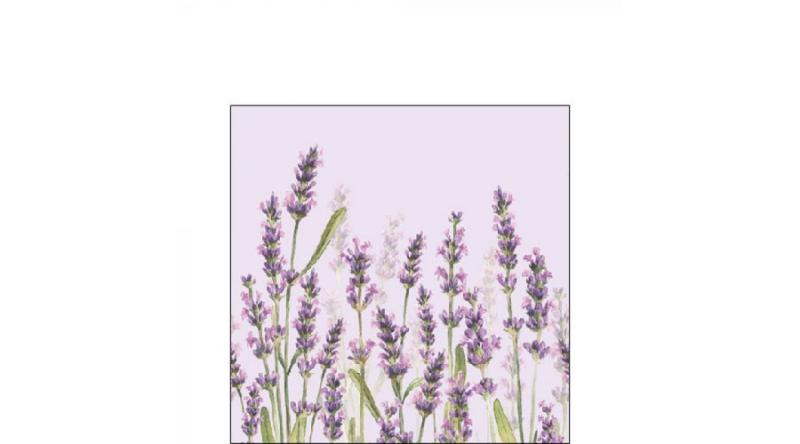 Levendulás szalvéta, AMB.12515986 Lavender Shades lila papírszalvéta 25x25cm,20db-os, levendula mintás