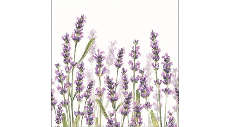 Levendulás szalvéta, AMB.13315985 Lavender Shade White papírszalvéta 33x33cm,20db-os, levendula mintás