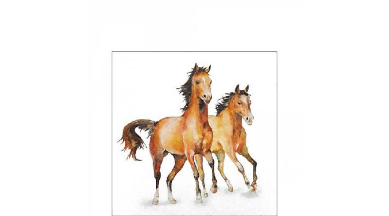 Lovas szalvéta, AMB.12518445 Wild horses papírszalvéta 25x25cm, 20db-os