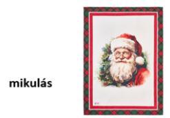 N.S.HTH251901A Konyharuha 50x70cm, pamut, Christmas is coming, mikulás