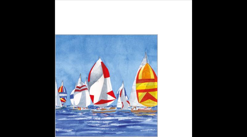 PPD.B125002625 Regatta papírszalvéta 25x25cm, 20db-os