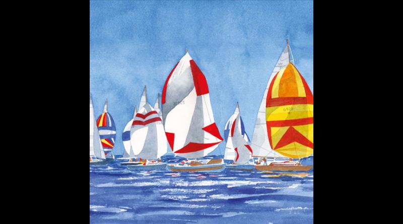 PPD.C133002625 Regatta papírszalvéta 33x33cm, 20db-os